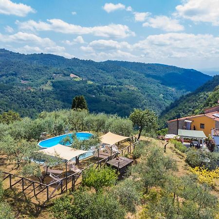Holiday Home Poggetto Pellegrini By Interhome Vellano Exterior photo